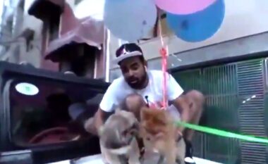 Fluturoi qenin me tullumbace heliumi, arrestohet YouTuberi (FOTO LAJM)