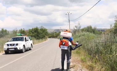 Nis dezinsektimi në Shëngjin, Manastirliu: Do kemi një sezon turistik më të sigurt (VIDEO)