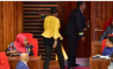 “Shko vishu mirë”, deputetja përjashtohet nga seanca pse veshi pantallona të ngushta