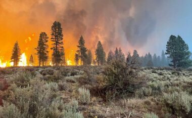 Vatra të mëdha zjarri në Amerikë, digjen më shumë se 1.1 milion hektarë tokë