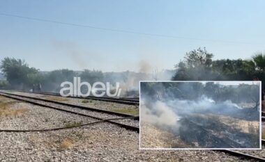 Zjarr në Fier, shkrumbohet zona rreth shinave të trenit (VIDEO)