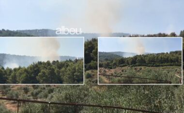 Riaktivizohet zjarri në pyllin e Gjorgosit në Patos, terreni vështirëson ndërhyrjen e zjarrfikësve