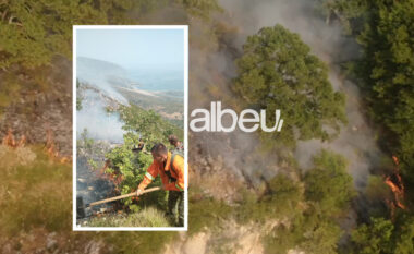 Zjarri deri në 3 metra lartësi, del jashtë kontrollit vatra në Karaburun (VIDEO)