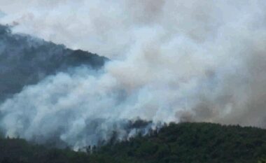 Parku Shebenik-Jabllanicë nën “pushtetin” e flakëve, digjen 20 hektarë me pyje (VIDEO)