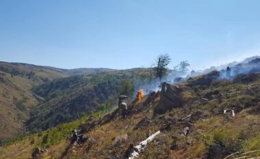 Peleshi: Lajm i mirë, shuhen plotësisht zjarret në Postribë dhe Mazrek
