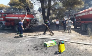 Viktima e parë e zjarreve, Peleshi apel banorëve: Mos bëni rezistencë, por evakuohuni!