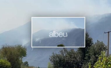 Rikativizohet sërish një vatër zjarri në Gjirokastër (VIDEO)