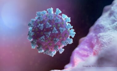 SHBA: Hulumtimet e reja konfirmojnë se koronavirusi ka dalë nga laboratori në Wuhan