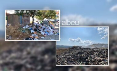 Durrësi sërish probleme me plehrat, Shijaku prej tre ditësh pa u pastruar (VIDEO)