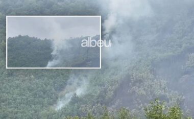 Zjarr në Vithkuq, digjen pisha e shkurre (VIDEO)