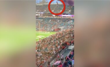 Një mace bie nga ballkoni i stadiumit, tifozët e shpëtojnë për mrekulli (VIDEO)