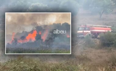 Zjarr masiv në Zvërnec të Vlorës, era favorizon flakët (VIDEO)