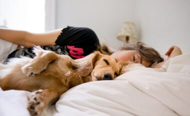 Studimi: Njerëzit janë më të lumtur kur flenë me qenin e tyre sesa me partnerin
