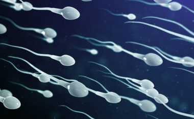 Më shumë se 10 fakte që nuk i keni ditur kurrë për spermën