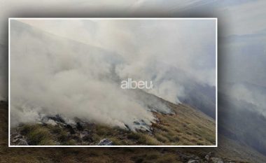 Zjarr i madh në Malin e Thatë, në Maliq (VIDEO)