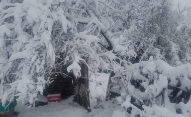 Zbardhet Korça, bora arrin në 30 centimentër por akset nacionale janë të kalueshme
