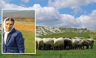 Ministja e Ramës tha se do hapet akademia e barinjve, çobania në Kukes: S’kam moshë për shkollë unë!