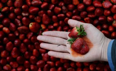 A e rrisin rrezikun ndaj kancerit pesticidet tek frutat dhe perimet?