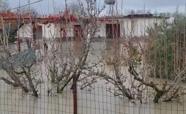 Vjosa përmbyt Vlorën, 2 të moshuar izolohen në banesë (VIDEO)