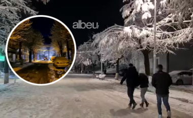 Pas borës filloi ngrica, si paraqitet situata në qarkun e Dibrës (VIDEO)