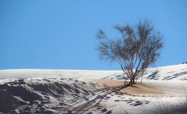 Fenomeni i rrallë, bie dëborë në Sahara (FOTO LAJM)
