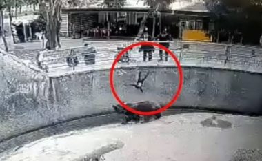 Pamje tronditëse! Momenti kur nëna hedh vajzën e mitur në kafazin e ariut (VIDEO)
