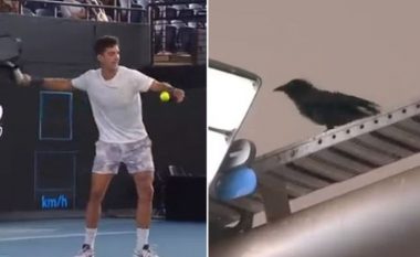 Skenë që asnjëherë nuk është parë në tenis: Sorra ndërpreu ndeshjen, tenisti e qëlloi me top (VIDEO)