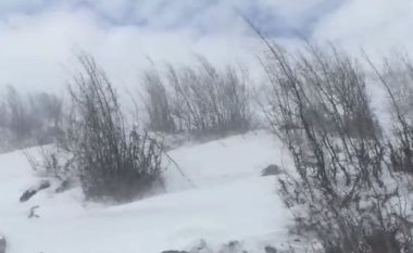 Reshjet e borës në Librazhd lënë gjysmën e qytetit pa energji elektrike (VIDEO)