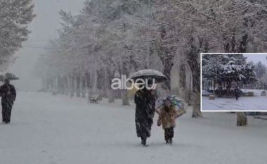 Nisin reshjet e borës me intensitet të lartë në Peshkopi, shihni pamjet magjike (VIDEO)