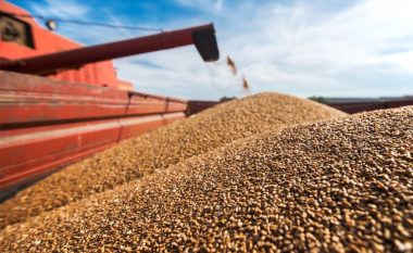 Rusia vendos kushte për lejimin e eksportit të grurit ukrainas