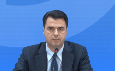 Albeu: Tre propozimet e deputetëve si të shpëtojnë PD-në nga Basha e Berisha
