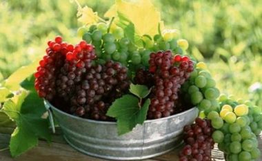 “Mos e bëni këtë gabim kur konsumoni rrushin”, eksperti “zbërthen” efektet në shëndet