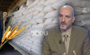 Lufta Rusi – Ukrainë, eksperti Ceko: Edhe 45 ditë rezerva gruri kemi në Shqipëri