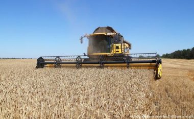Serbia paralajmëron eksporte të grurit në Ballkanin Perëndimor