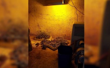 Kapen dy “shtëpi bari” në Durrës, arrestohen dy persona dhe shpallet në kërkim një tjetër