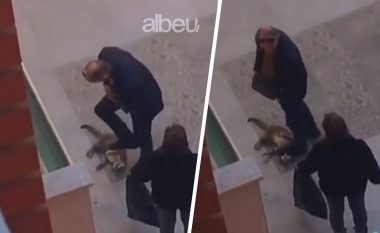 Keqtrajtoi barbarisht një mace, policia identifikon, 58-vjeçari i dënuar më parë për vrasje (VIDEO)