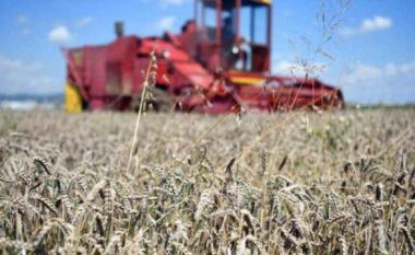 Serbia ka ndaluar shitjen e grurit, Kosova tani mund të blejë në Amerikë