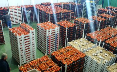 Shqipëria me peshën më të lartë të bujqësisë në Europë, por me varësinë më të lartë nga importi i ushqimeve