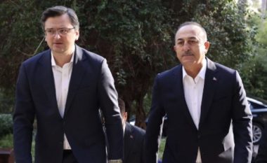 Momenti kur ministri i Jashtëm ukrainas mbërrin në Antalia (VIDEO)