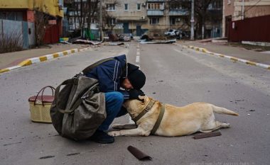 Pamje prekëse, qytetari në Irpin qetëson qenin e “paralizuar nga frika” (FOTO LAJM)