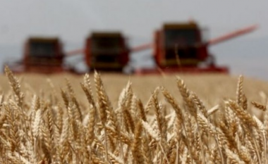 Kriza, maqedonasit nisin të mjellin tokat me grurë
