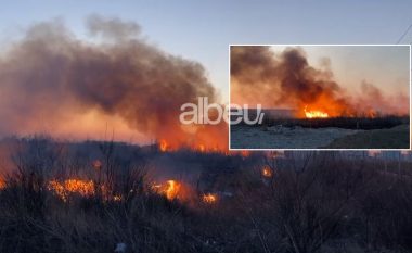 Zjarr i madh në Tale të Lezhës, rrezikohen banesat, zjarrfikësja askund (VIDEO)