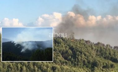 Zjarr i përmasave të mëdha në Krujë, shkrumbohen hektarë të tërë me pyje (VIDEO)