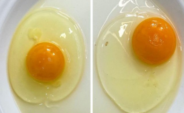 Kjo është menyra e vetme për të dalluar vezën nëse është e freskët