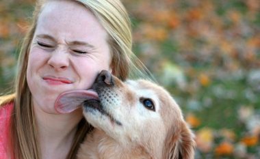 Alarmon studimi i ri: Mos e lejoni qenin t’ju lëpijë, mund të merrni një bakter vdekjeprurës
