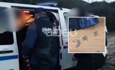 U kapën me 550 fara kanabisi, arrestohen dy të rinjtë në Shijak (VIDEO)