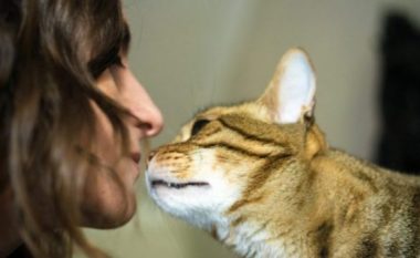 A e dini pse macja nuhat në fytyrën tuaj?