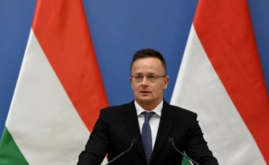Hungaria thërret për “llogaridhënie” ambasadorin ukrainas