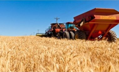 Paralajmërimi i G7-s: Bllokimi i grurit ukrainas në Detin e Zi do të “mbjellë” uri nëpër botë