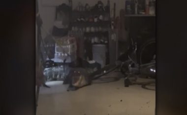 Aligatori hyn fshehurazi në garazh dhe pi Coca-Cola (VIDEO)